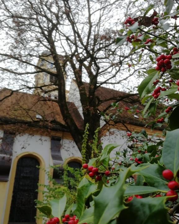 Café Am Tierpark